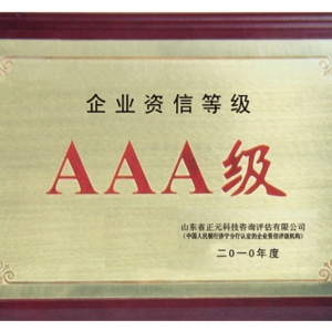 企业AAA资信等级